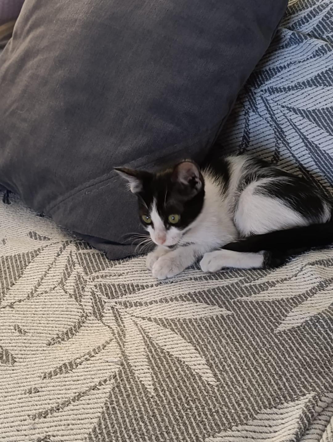 LUNA 2