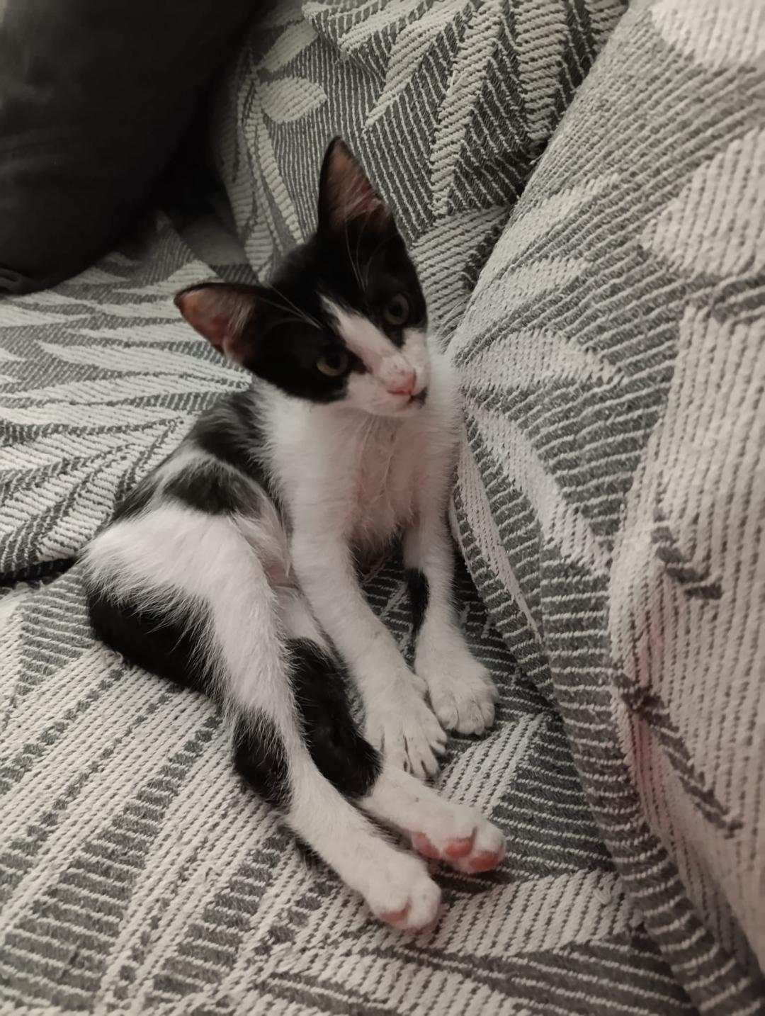 LUNA 4